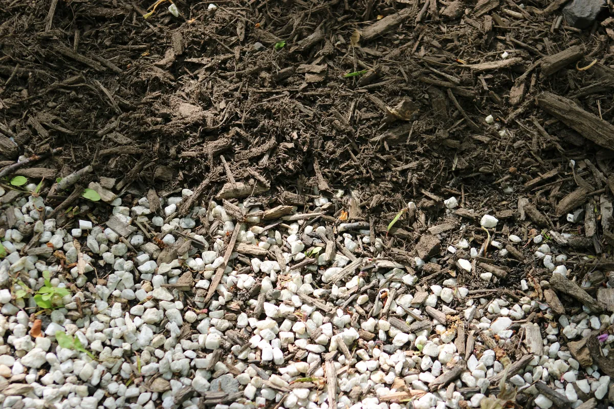 When to Mulch in Western North Carolina (and How Much Is Too Much)